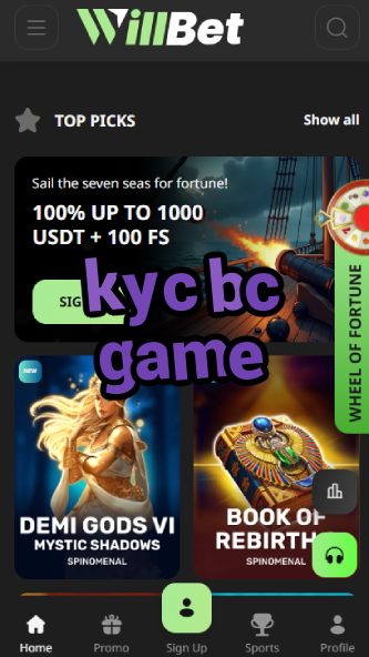 KYC BC Game - Verification Process-vz72fvrf.com